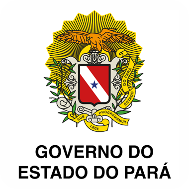 Governo do Par&aacute;